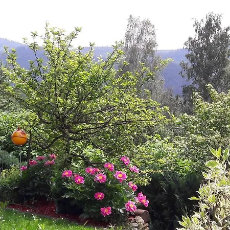 Ferienwohnung-panoramablick-1 Hébergement de vacances *