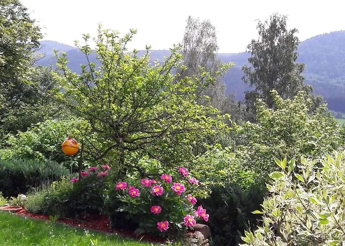 Ferienwohnung-panoramablick-1 펜션 *